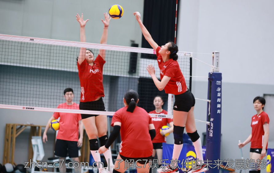 c7电子娱乐官网的安全性与玩家隐私保障